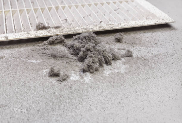 Best Professional Duct Cleaning Services  in Clearwater, SC