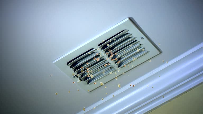 Best Home Air Vent Cleaning  in Clearwater, SC